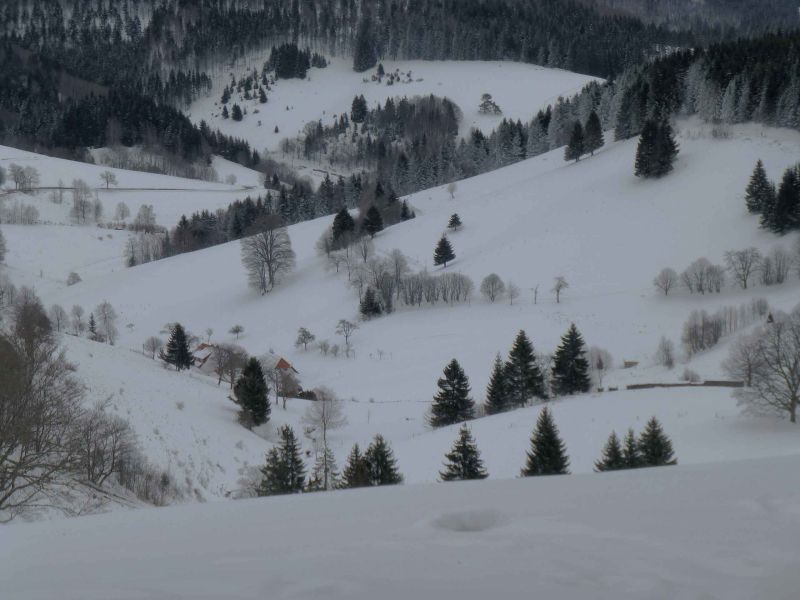 noir sur blanc.jpg